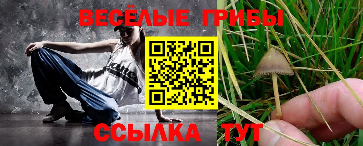 Псилоцибиновые грибы Cubensis  Вход с VPN  Россия 
