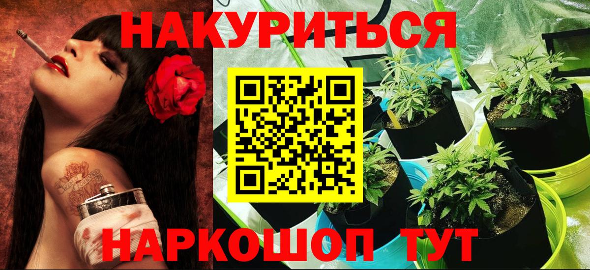 Конопля SATIVA & INDICA  Бошки марихуана сатива  Россия  Марихуана индика  Бошки марихуана гибрид  Вход с VPN 